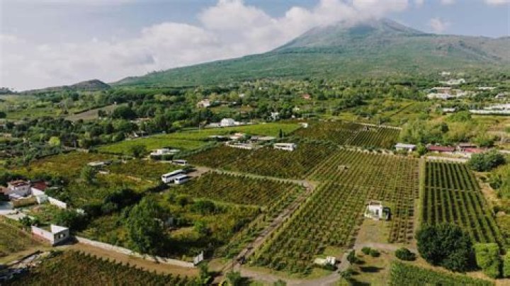 The Ultimate Guide To Taurasi Parents: Raising Children In The South Of Italy
